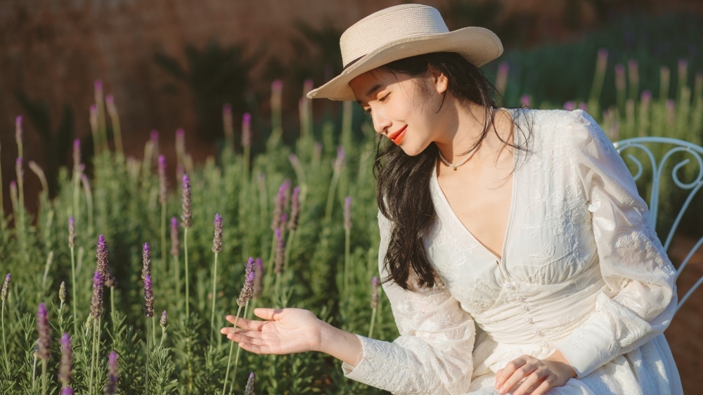 Cánh đồng hoa oải hương rộng 5ha, thu hút giới trẻ đến chụp ảnh