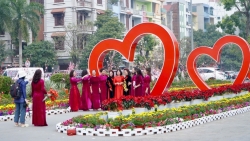 Thanh Hóa: Đường phố trang hoàng cờ, hoa mừng Tết Nguyên đán 2025