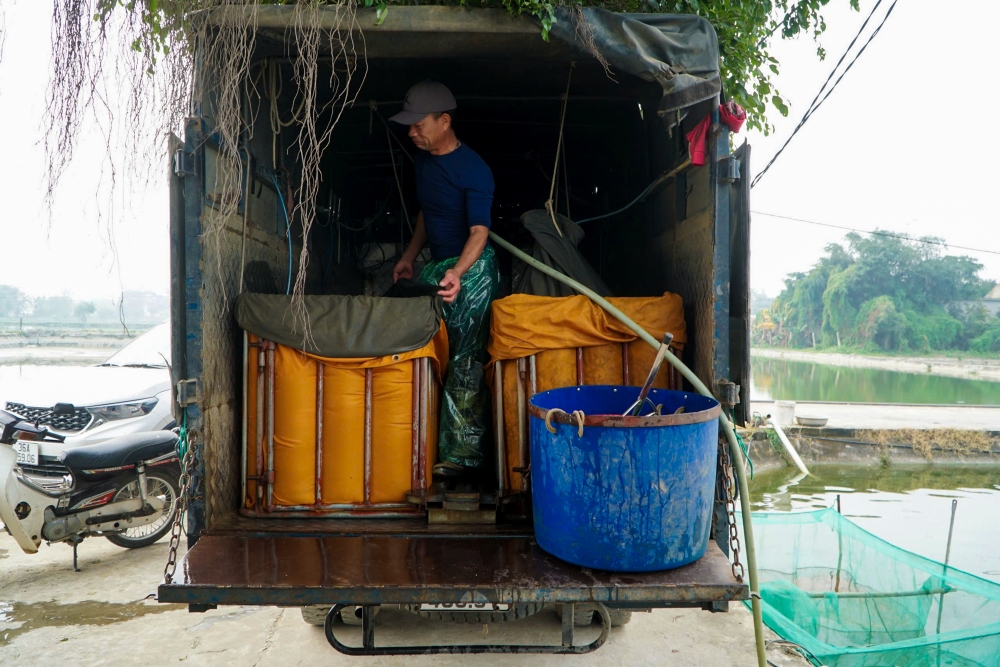 Thanh Hoá: Hối hả thu hoạch cá chép đỏ trước ngày ông Công ông Táo