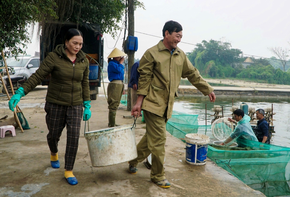 Thanh Hoá: Hối hả thu hoạch cá chép đỏ trước ngày ông Công ông Táo