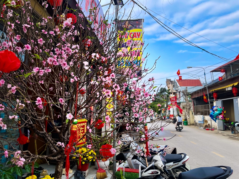 Nhịp sống người dân vùng biển Thanh Hóa chiều 30 Tết