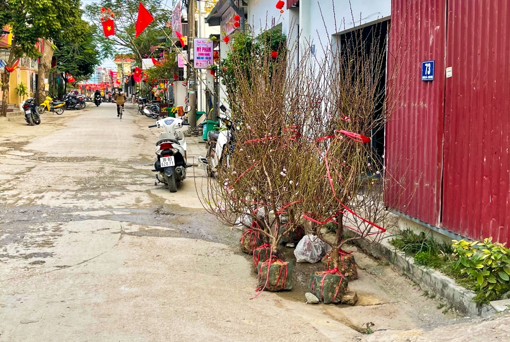 Nhịp sống người dân vùng biển Thanh Hóa chiều 30 Tết