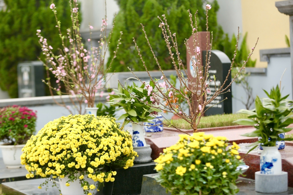 Vượt hàng nghìn km, người dân mang đào quất đi tảo mộ mời gia tiên về ăn Tết