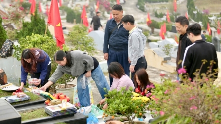 Vượt nghìn km, người dân mang đào, quất mời gia tiên về ăn Tết