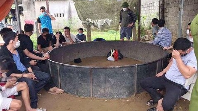 Nghệ An: Đột kích sới gà, bắt giữ 36 đối tượng cùng hàng chục triệu đồng