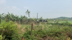Thanh Hóa: Phát hiện 2 nam thanh niên tử vong bất thường bên bờ ruộng lúa