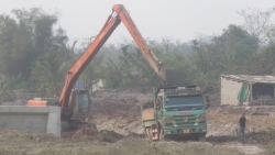 Hà Trung (Thanh Hóa): Nhà thầu lợi dụng việc triển khai dự án để khai thác đất vận chuyển vào nhà máy gạch?