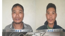 thanh hoa khoi to 2 doi tuong trom cap day cap dien tai nha may xi mang long son