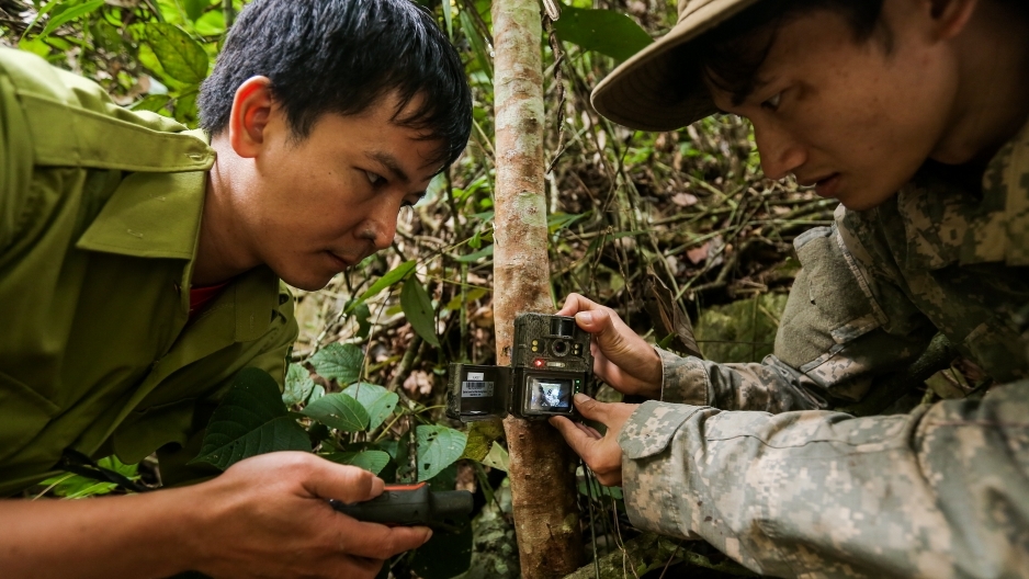Thanh Hoá: Theo chân "biệt đội bẫy ảnh" thú hoang dã VQG Xuân Liên
