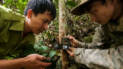 Thanh Hoá: Theo chân "biệt đội bẫy ảnh" thú hoang dã VQG Xuân Liên