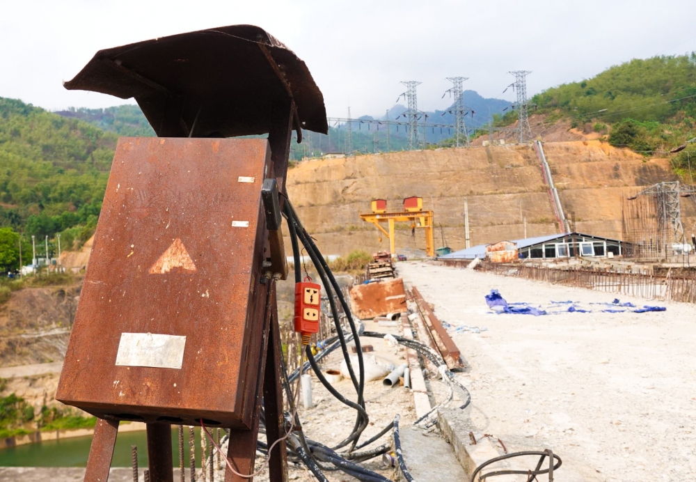 Hồi xuân Hồi xuân