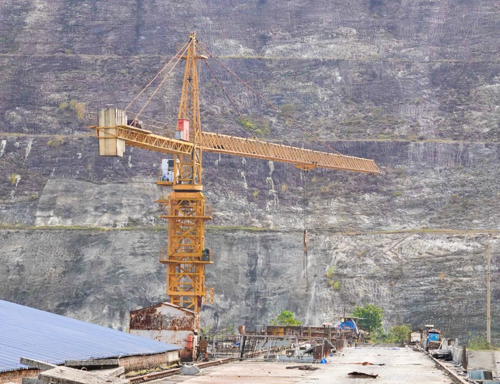 Hồi xuân Hồi xuân