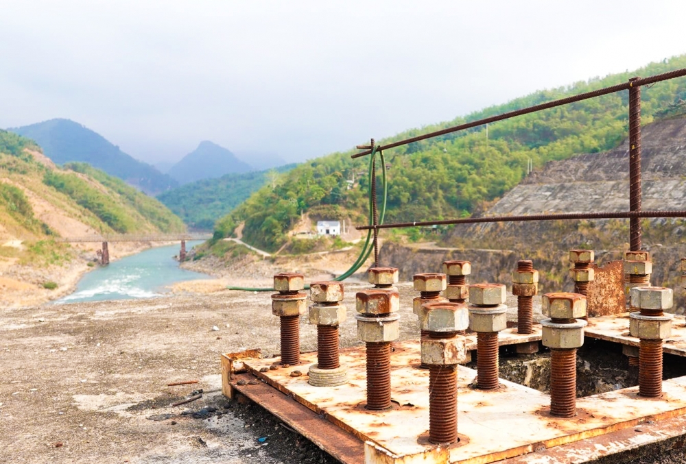 Hồi xuân Hồi xuân