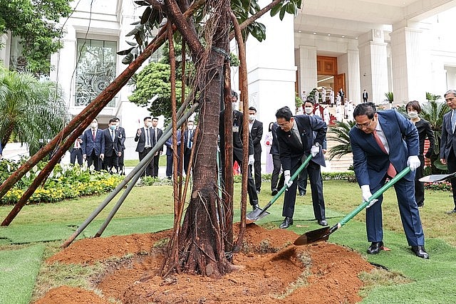 Thủ tướng Phạm Minh Chính và Thủ tướng Nhật Bản Kishida Fumio trồng cây lưu niệm tại khuôn viên Trụ sở Chính phủ. Ảnh VGP/Nhật Bắc