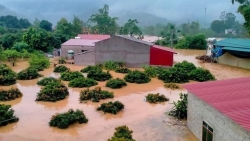 Bắc Giang: Huy động nhân lực, vật lực khắc phục thiệt hại do mưa lũ ở Lục Ngạn