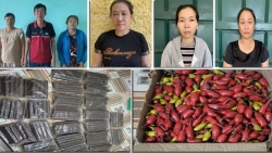 Thanh Hoá: Triệt phá đường dây mua bán, sử dụng vật liệu nổ liên tỉnh