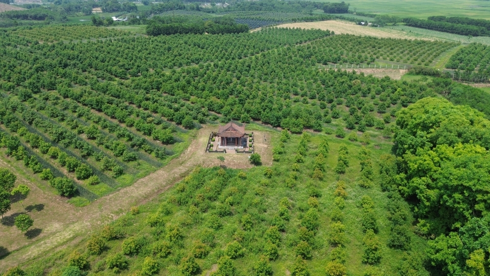 Thanh Hoá: Cận cảnh bên trong lăng mộ vua Lê Túc Tông bị xâm hại