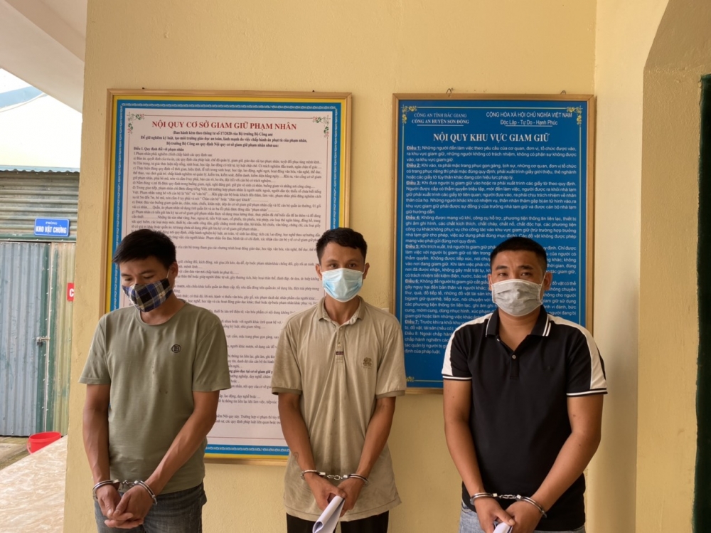 Bắc Giang: Trộm cắp cây chè bạc triệu, 4 thanh niên bị khởi tố