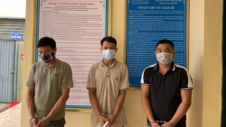 Bắc Giang: Trộm cắp cây chè bạc triệu, 4 thanh niên bị khởi tố
