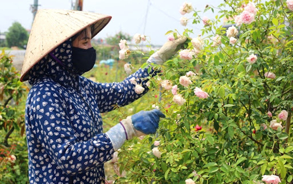 Hà Nội đẩy mạnh vai trò của phụ nữ trong xây dựng Nông thôn mới