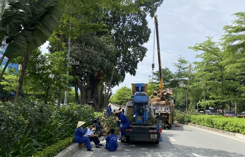 Nhân viên Công ty Cây xanh cắt cành cây giải phóng tuyến đường