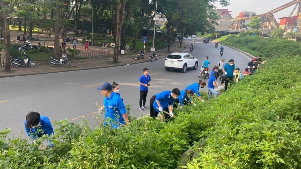 Thanh niên quận Long Biên cắt tỉa cây, vệ sinh môi trường