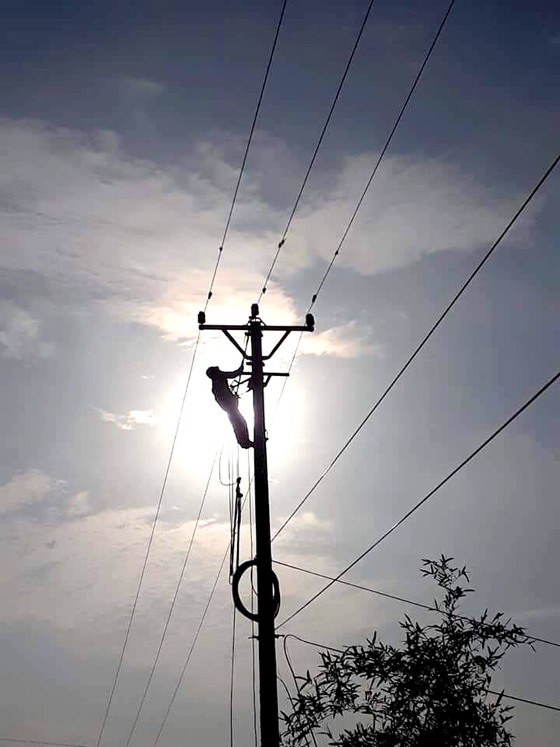 Duy tu sửa chữa lưới điện 110kV để đảm bảo cấp điện an toàn