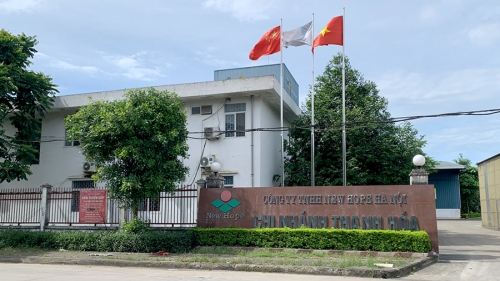 Thanh Hoá: Xử phạt 2 doanh nghiệp sản xuất thức ăn chăn nuôi