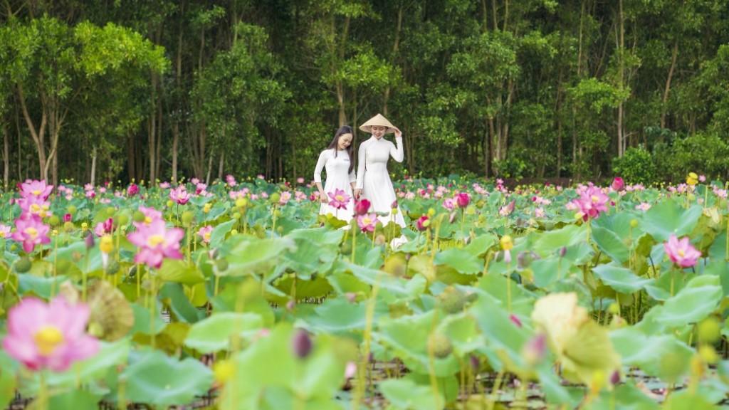 Thi sĩ Nguyễn Hồng Vinh bâng khuâng tơ lòng vương vấn tơ sen