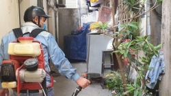 xuat hien nhieu ca sot xuat huyet ha noi xay dung 3 phuong an ung pho