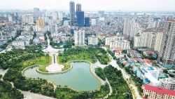 ha noi trien khai xay dung the che lien ket vung tren cac linh vuc kinh te xa hoi