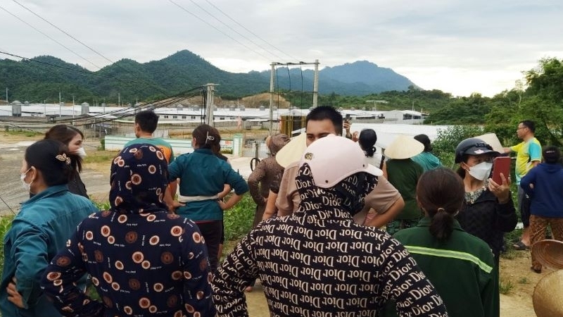 Thanh Hoá vào cuộc kiểm tra vụ trại heo gây mùi hôi thối