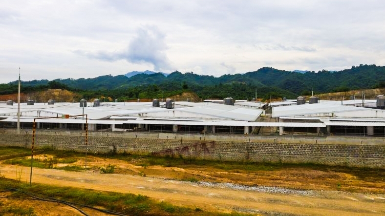 Thanh Hoá: Đình chỉ hoạt động trang trại nuôi lợn gây mùi hôi thối