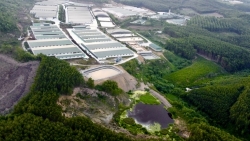 Suối Khe Sào bị “bức tử": Xử phạt Trang trại nuôi lợn Tâm Việt hơn 120 triệu đồng