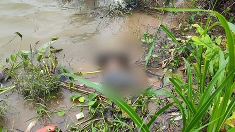 Thái Bình: Phát hiện thi thể nam giới chân bị trói trôi trên sông