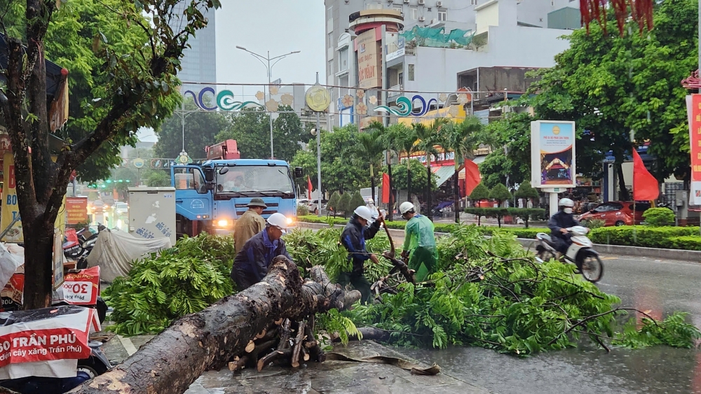 Thanh Hoá: Hàng loạt cây xanh bật gốc, một người đi đường bị đè trúng