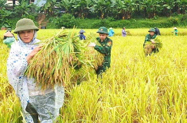 Quan Sơn: Nhanh chóng khắc phục hậu quả mưa lũ, sớm ổn định đời sống người dân