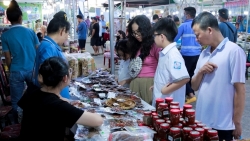 Thanh Hoá: Hơn 18 tỷ đồng doanh số bán hàng khu trưng bày, giới thiệu thực phẩm an toàn