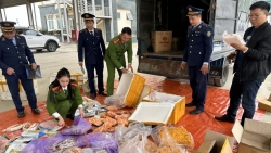 Bắt giữ gần 500kg thực phẩm bẩn tại 1 cơ sở kinh doanh trên địa bàn TP Thanh Hóa