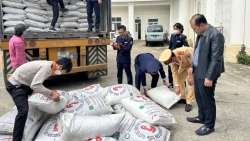 Thanh Hóa: Bắt giữ 35 tấn đường nhập lậu do nước ngoài sản xuất