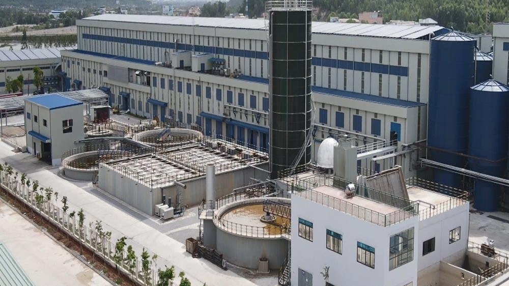 Xả thải gây ô nhiễm môi trường, Công ty Miza Nghi Sơn bị phạt gần 600 triệu đồng