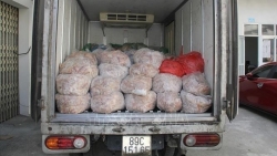 Thanh Hóa: Bắt giữ 1,4 tấn bì lợn ôi thiu, không rõ nguồn gốc