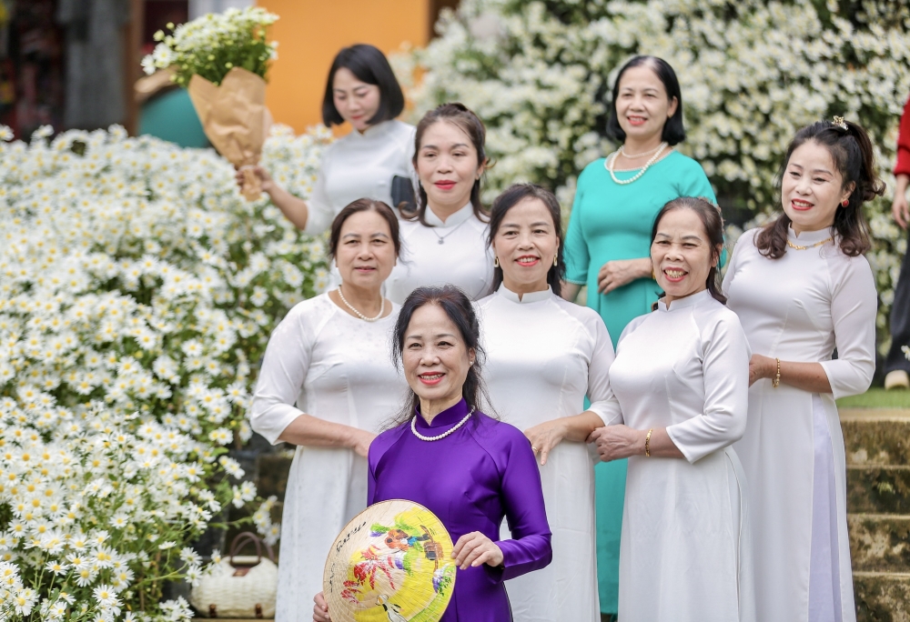 Thanh Hoá: Cúc hoạ mi nở rộ hút du khách tìm đến chụp ảnh