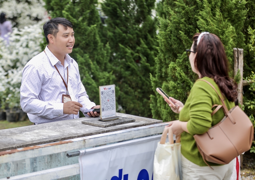 Thanh Hoá: Cúc hoạ mi nở rộ hút du khách tìm đến chụp ảnh