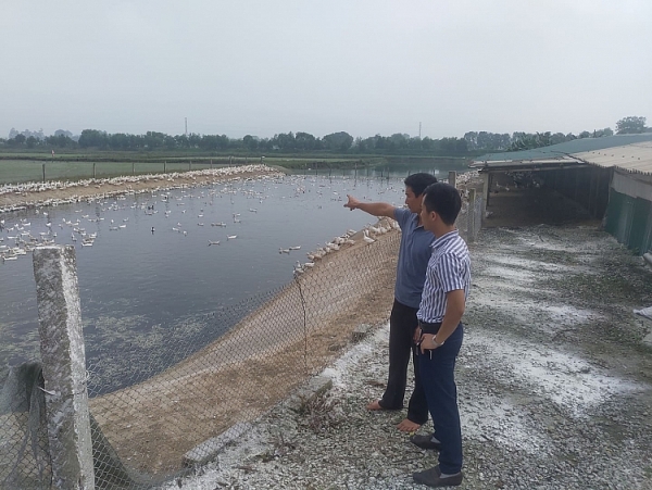 can canh o dich cum a h5n6 tai thanh hoa