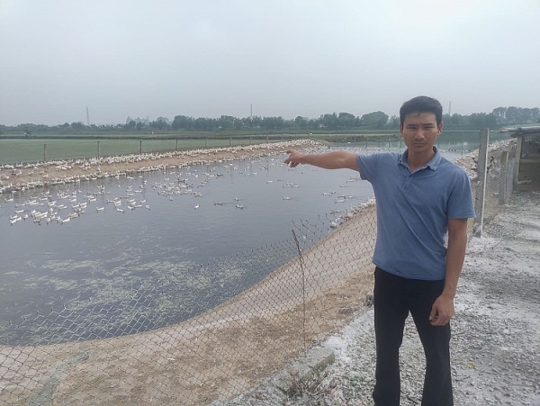 can canh o dich cum a h5n6 tai thanh hoa