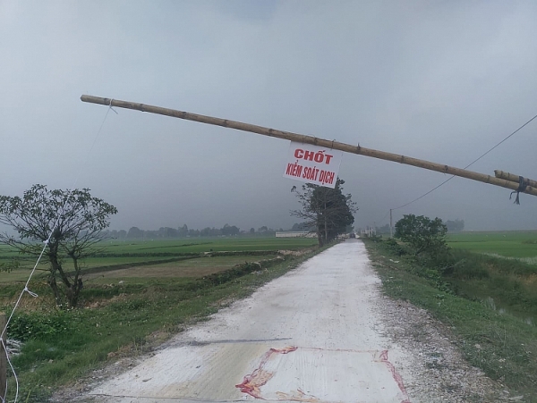 can canh o dich cum a h5n6 tai thanh hoa