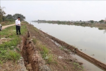 Nơm nớp lo vỡ đê hữu sông Vạc ở Ninh Bình
