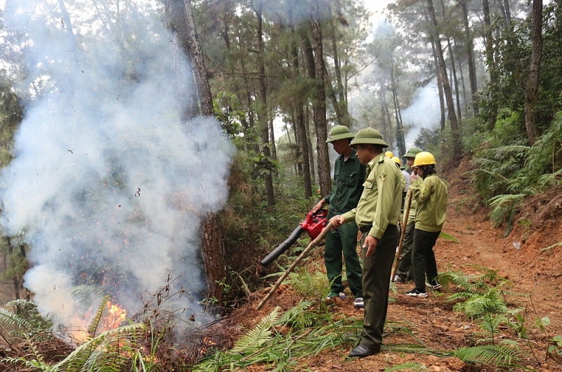 Thanh Hóa: Tăng cường công tác bảo vệ rừng tại huyện Hà Trung