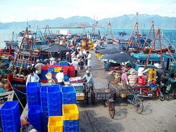 Thanh Hóa: Đình chỉ Giám đốc Cảng cá Sầm Sơn do đánh bạc